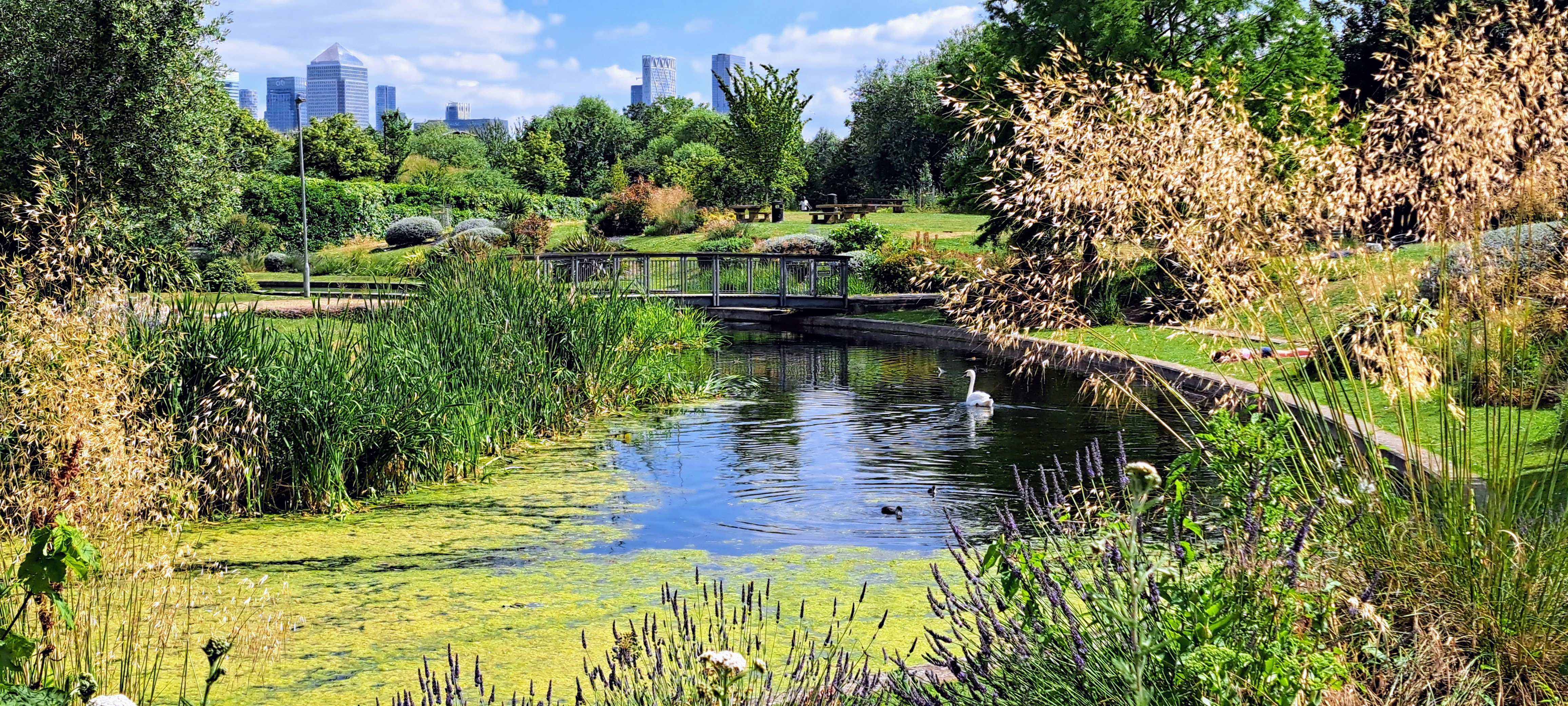 John White - the Art Pavilion Pond in Mile End Park ed