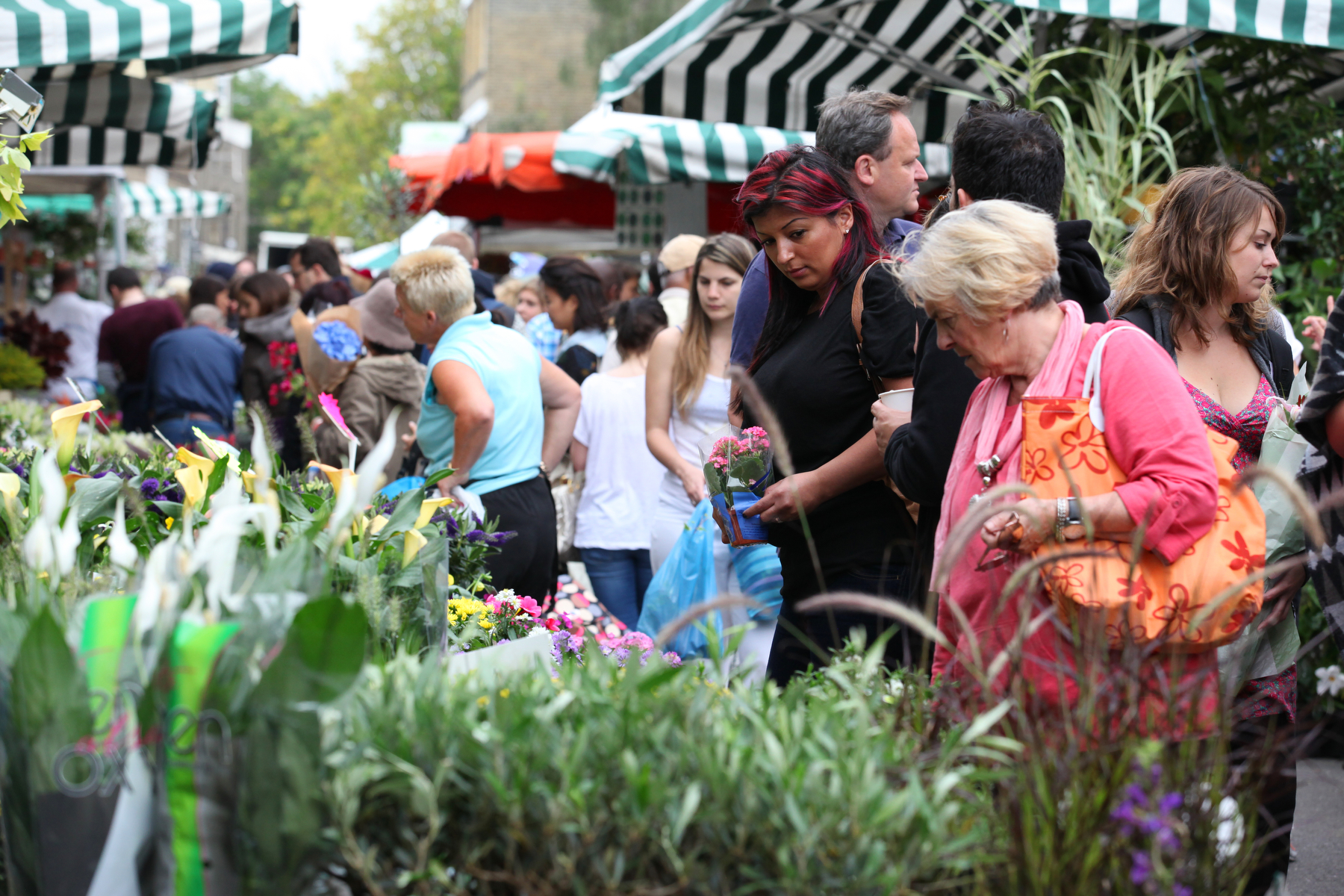 columbia-road-flower-markets_45361983871_o