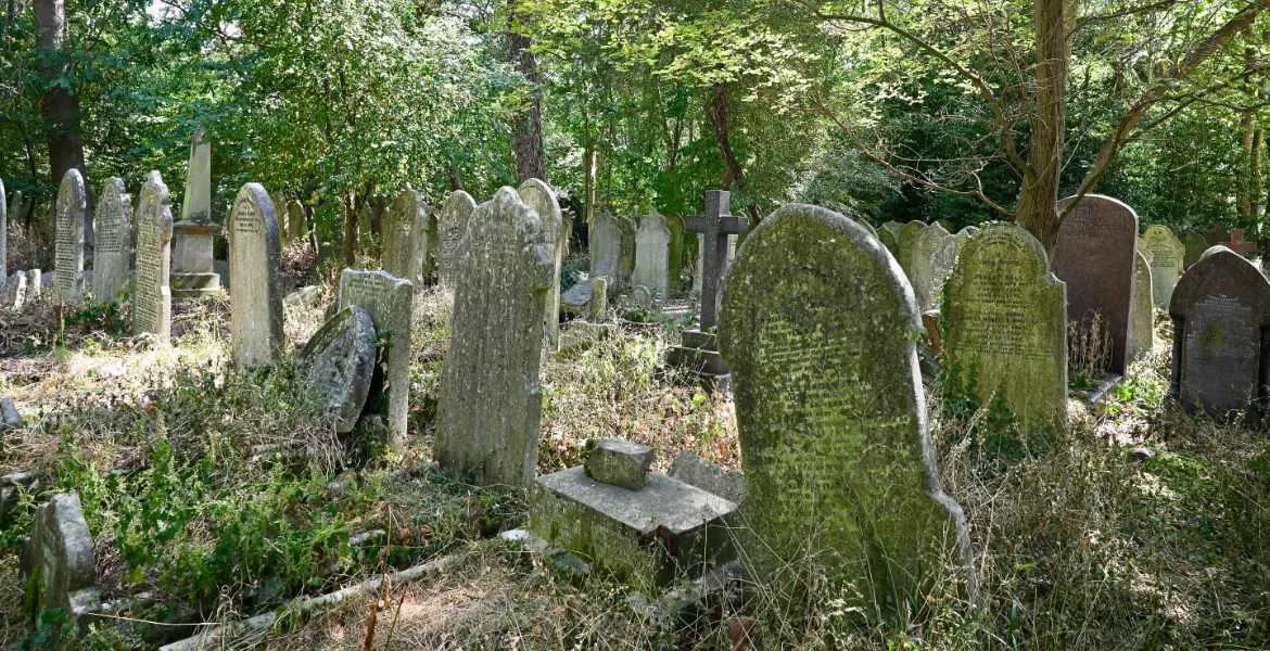 Cemetery Park Gravestones