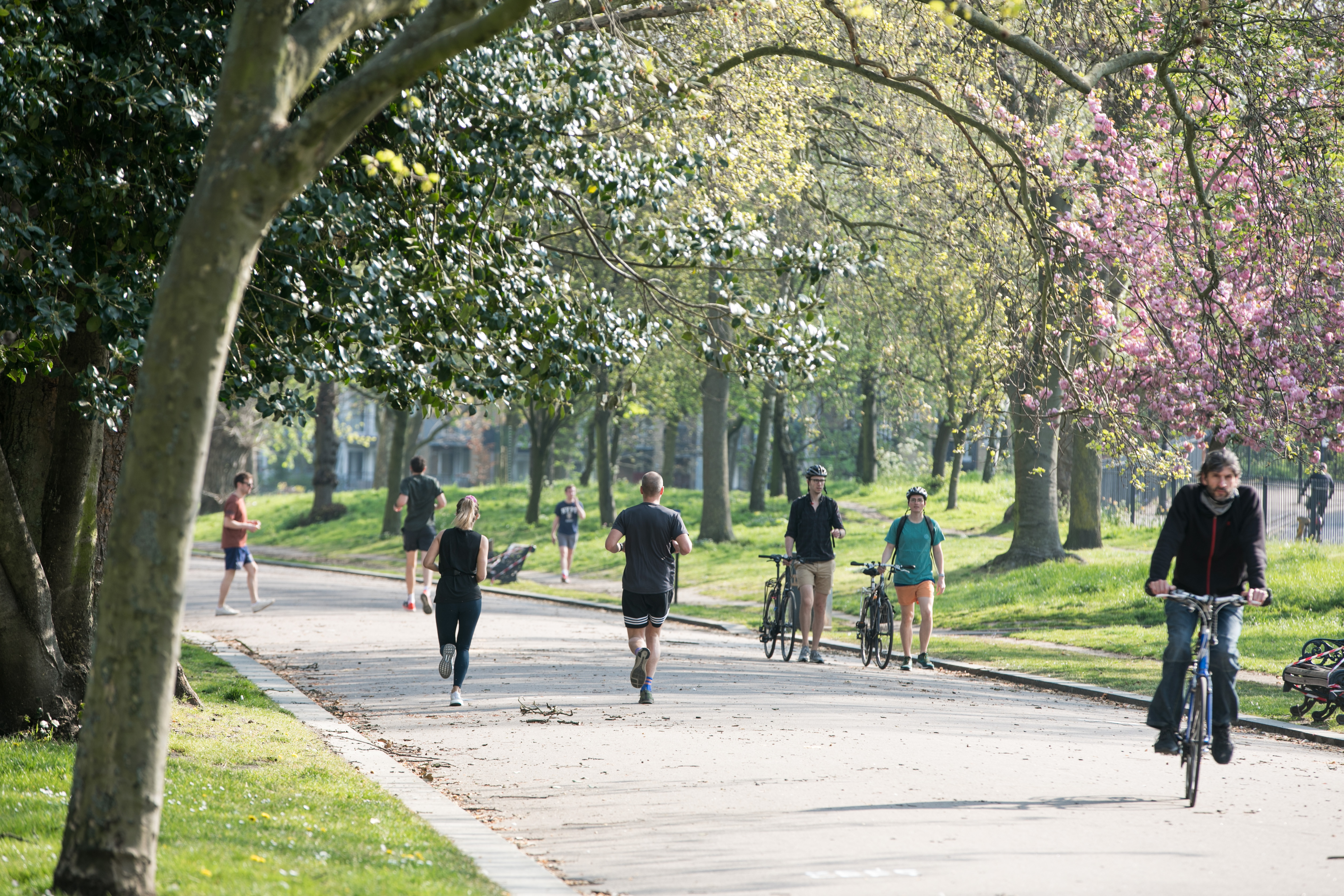 Victoria park