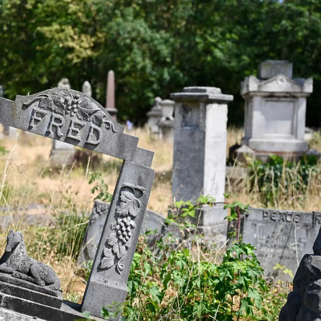 Cemetery Park gravestones