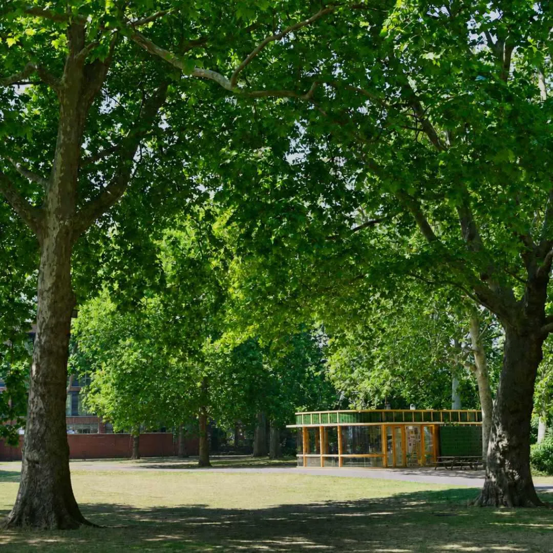 Trees in Island Gardens. The small green and gold glass pavilion on the right is the Rotunda Café